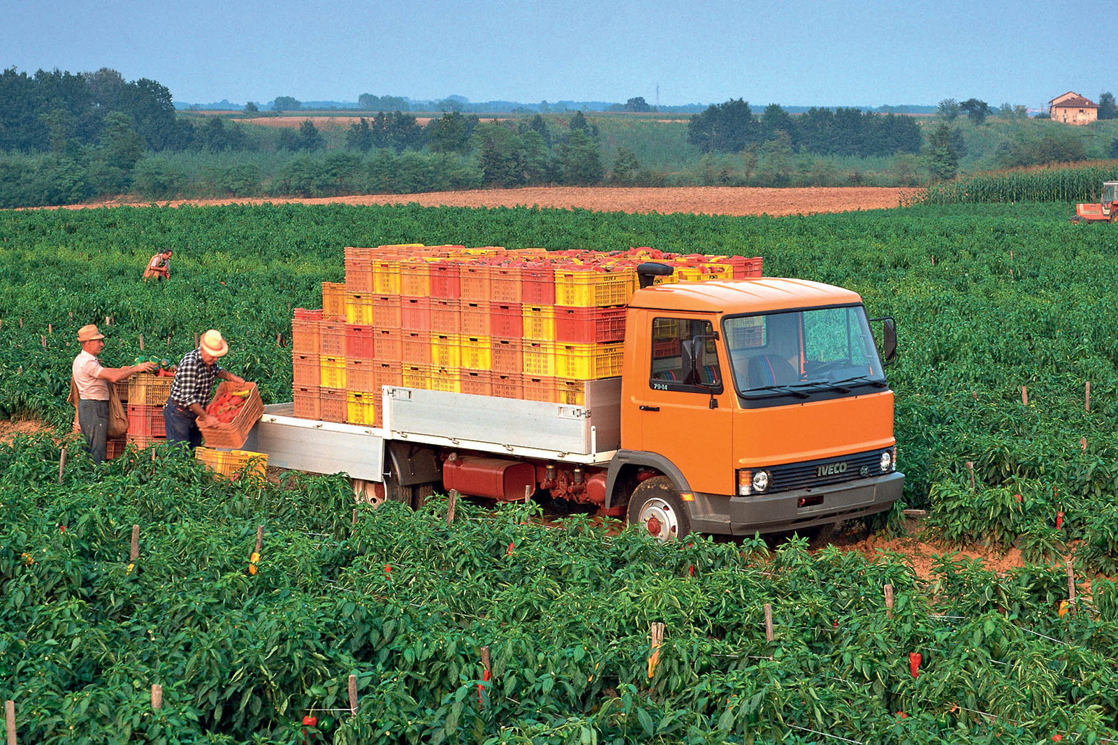 iveco50009