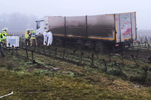 Zbog keksa završio u vinogradu